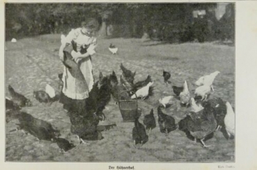 1917 - alter Druck - Der Hühnerhof